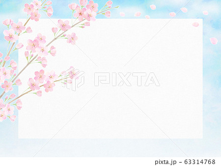 桜 青空 桜吹雪 卒業のイラスト素材