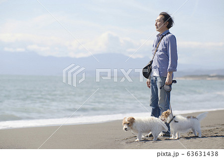 シニア 犬 散歩 おじいさんの写真素材