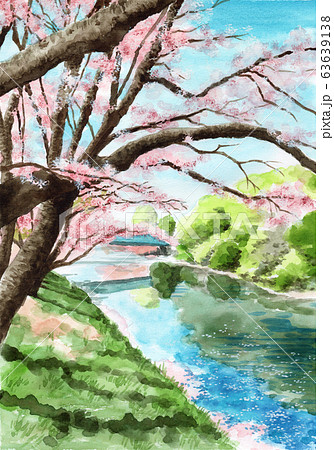 桜土手のイラスト素材