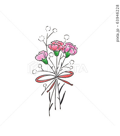 彩色鉛筆康乃馨花卉花插圖素材