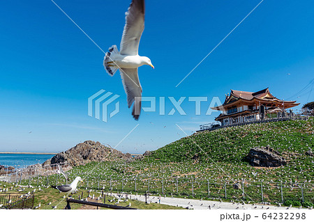 山梨県からの富士山  ✲青森県八戸市蕪島神社  るいな様依頼画 山梨県からの富士山 ✲青森県八戸市蕪島神社 るいな様依頼