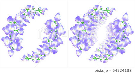 藤の花のイラスト素材