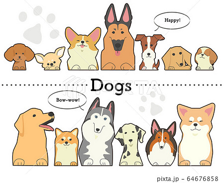 柴犬 秋田犬のイラスト素材