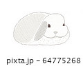 リアルかわいいうさぎの線画のイラスト素材