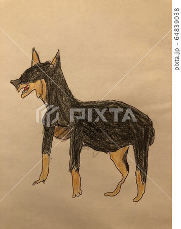 ミニピン ミニチュアピンシャー 動物 犬のイラスト素材