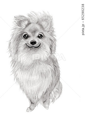 鉛筆画 犬の写真素材