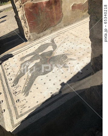 犬 史跡 ポンペイ遺跡 イタリア世界遺産の写真素材