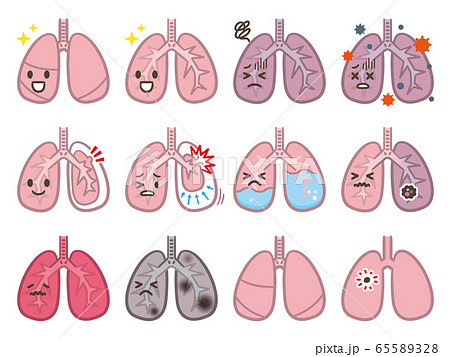 肺のイラスト素材