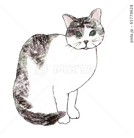Yumi Nishikata | . 少しずつ 少しずつ。。。 . . #鉛筆画 #猫の