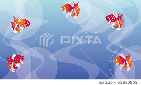 涼しい 真夏 金魚 グラフィックのイラスト素材