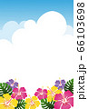 フレーム縦 フレーム イラスト 夏の花のイラスト素材
