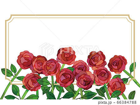花束 バラ ばら プロポーズのイラスト素材
