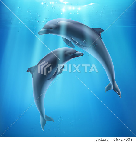 イルカジャンプのイラスト素材 イルカジャンプのイラスト素材