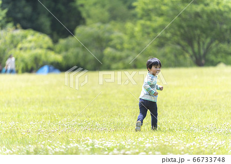 子供 男の子 走る 後姿 男性の写真素材