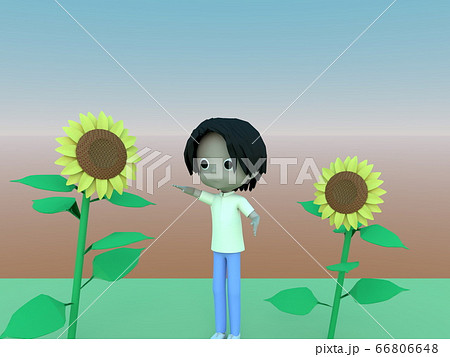 ヒマワリ畑 女の子 イラスト 真夏の写真素材