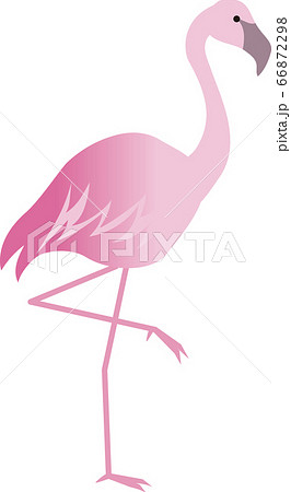 Flamingo Pink Flamingo Pngs