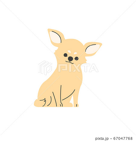 ベクター 犬 チワワ お座りのイラスト素材