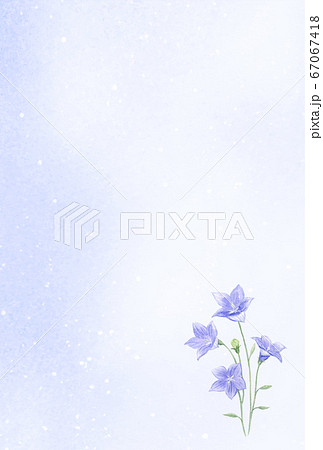 桔梗のイラスト素材