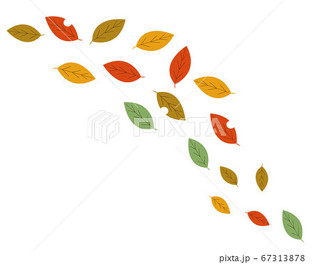 枯葉のイラスト素材