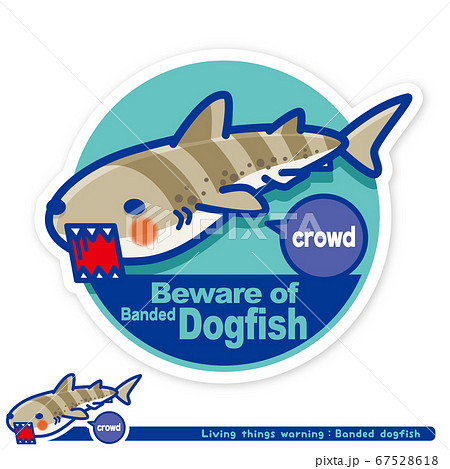 サメ 鮫 のイラスト素材集 ピクスタ