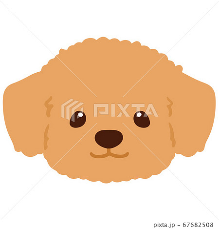 チワワ トイプードル 犬 ベクターのイラスト素材