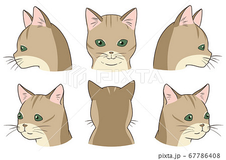 【原画】『シンディー』（猫　シンガプーラ　絵画　パステル画） 0_2ee305b60825c741a1591f854de6
