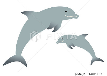イルカ ジャンプ 海豚 ドルフィンのイラスト素材