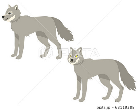 狼 オオカミ 動物 カッコイイのイラスト素材