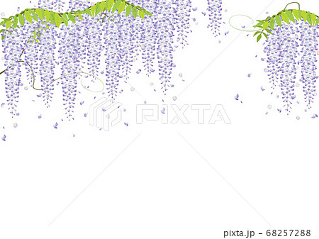 藤の木のイラスト素材