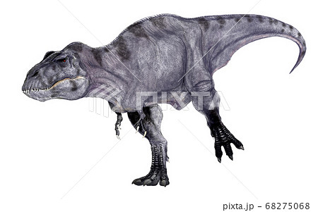 ティラノサウルスのイラスト素材集 ピクスタ ティラノサウルスのイラスト素材集 ピクスタ