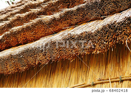 白老のアイヌ民族