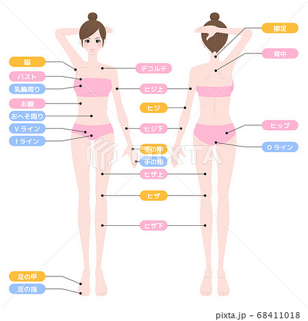 全身 女性 正面 背面のイラスト素材