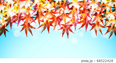 紅葉　もみじ　秋　背景