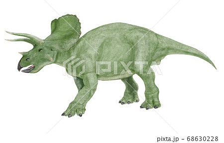 ティラノサウルスのイラスト素材集 Pixta ピクスタ