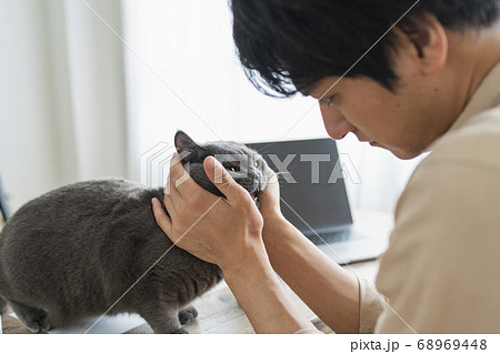 邪魔する猫の写真素材 - PIXTA