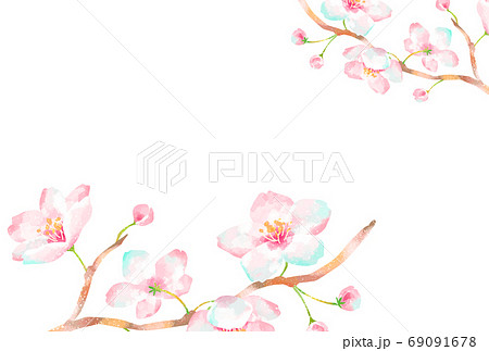 桜 背景 和風 和のイラスト素材