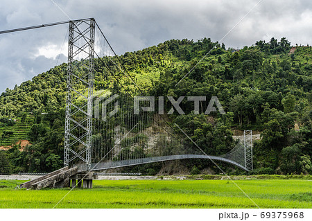 ジャングル つり橋 吊り橋 緑色の写真素材