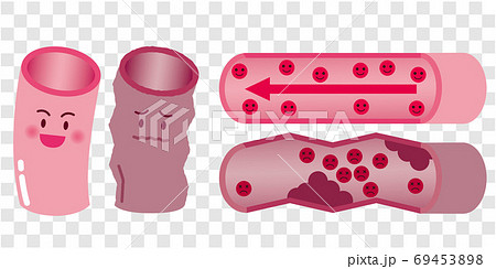 血管のイラスト素材