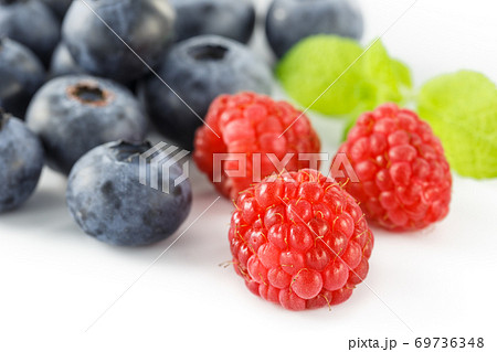 ヨーロッパキイチゴの写真素材