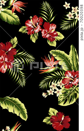 ハイビスカス 植物 花 壁紙のイラスト素材