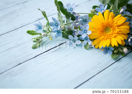 ブルースター 花 花束 水色の写真素材