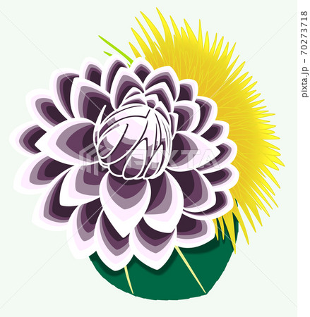 ダリアのイラスト素材