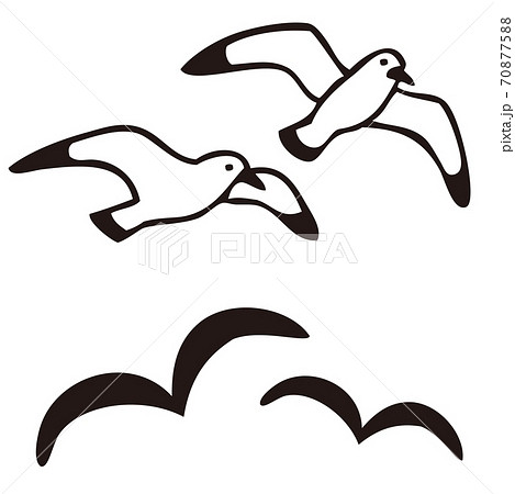 Seagull Sea Birds Illustrations