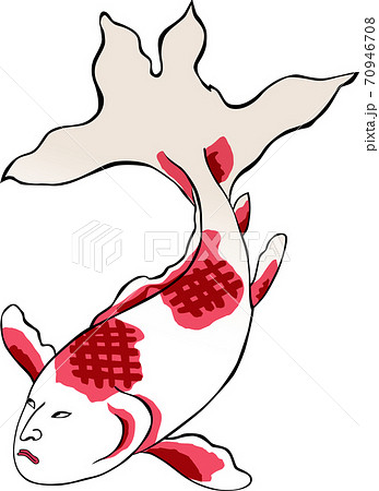 人面魚のイラスト素材