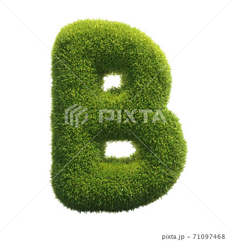B 花 文字 アルファベットの写真素材
