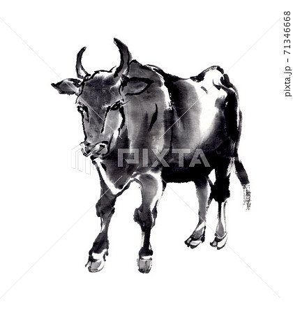 抽象的な水墨画 闘牛 動物 牛 闘牛 水墨画のイラスト素材 - PIXTA
