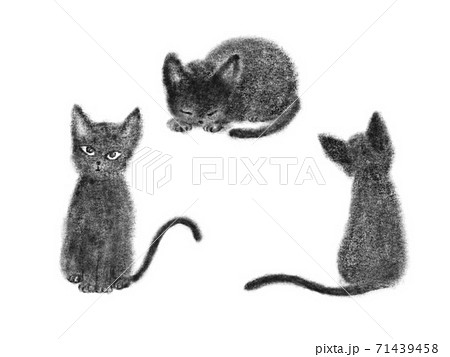 黒猫 猫 動物 鉛筆画のイラスト素材
