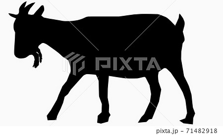 ヤギひげのイラスト素材