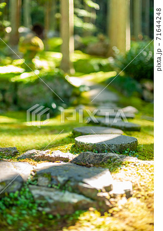 踏み石 庭 日本庭園の写真素材