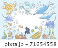 優しいタッチの海の生き物イラストフレームのイラスト素材 [71675243